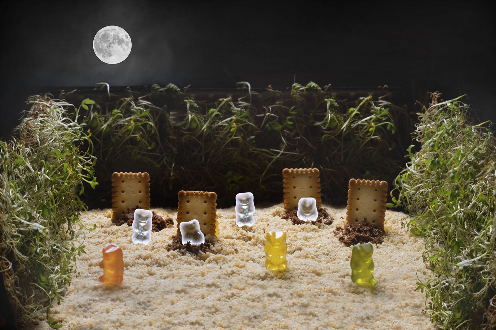 Die Parallelwelt der Haribo Gummibärchen.