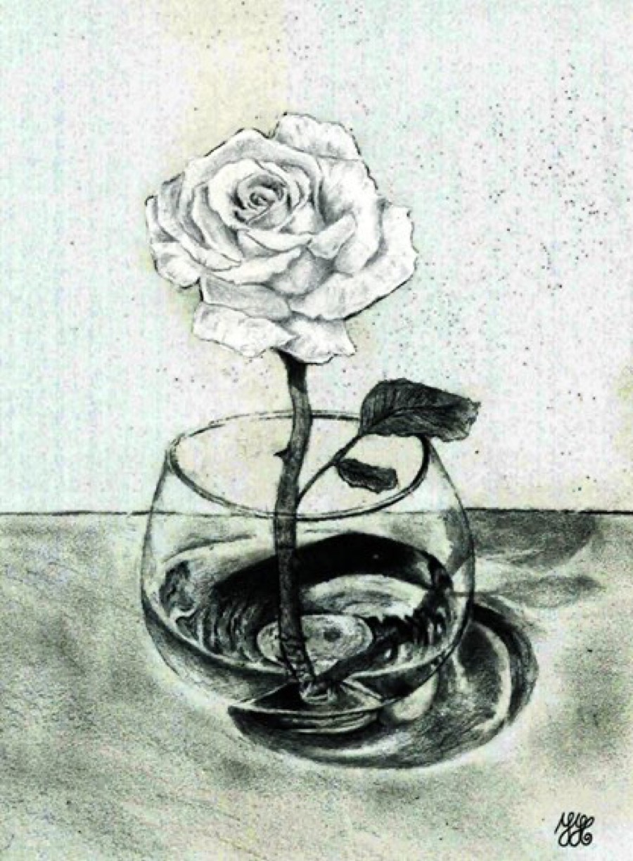 Eine Studie zur Lichtbrechung von Wasser.